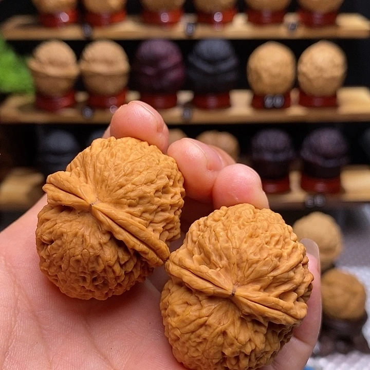 文玩核桃把件珊瑚纹元宝41