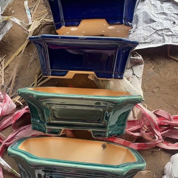 瑕疵处理四只蓝绿