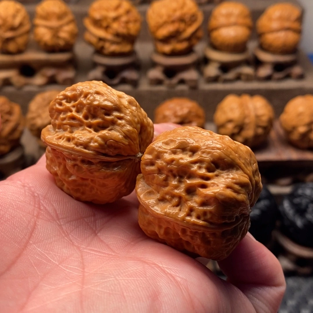 把件文玩核桃龙脊金蟾王37尺寸