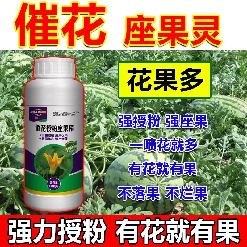 【正品】授粉座果精催花提高授粉坐果率座果灵防落素蔬菜果树通用
