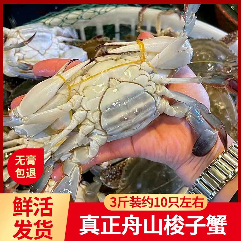 【红膏蟹】【保鲜不保活】舟山新鲜梭子蟹3-4两/只2斤装 顺丰 次日达