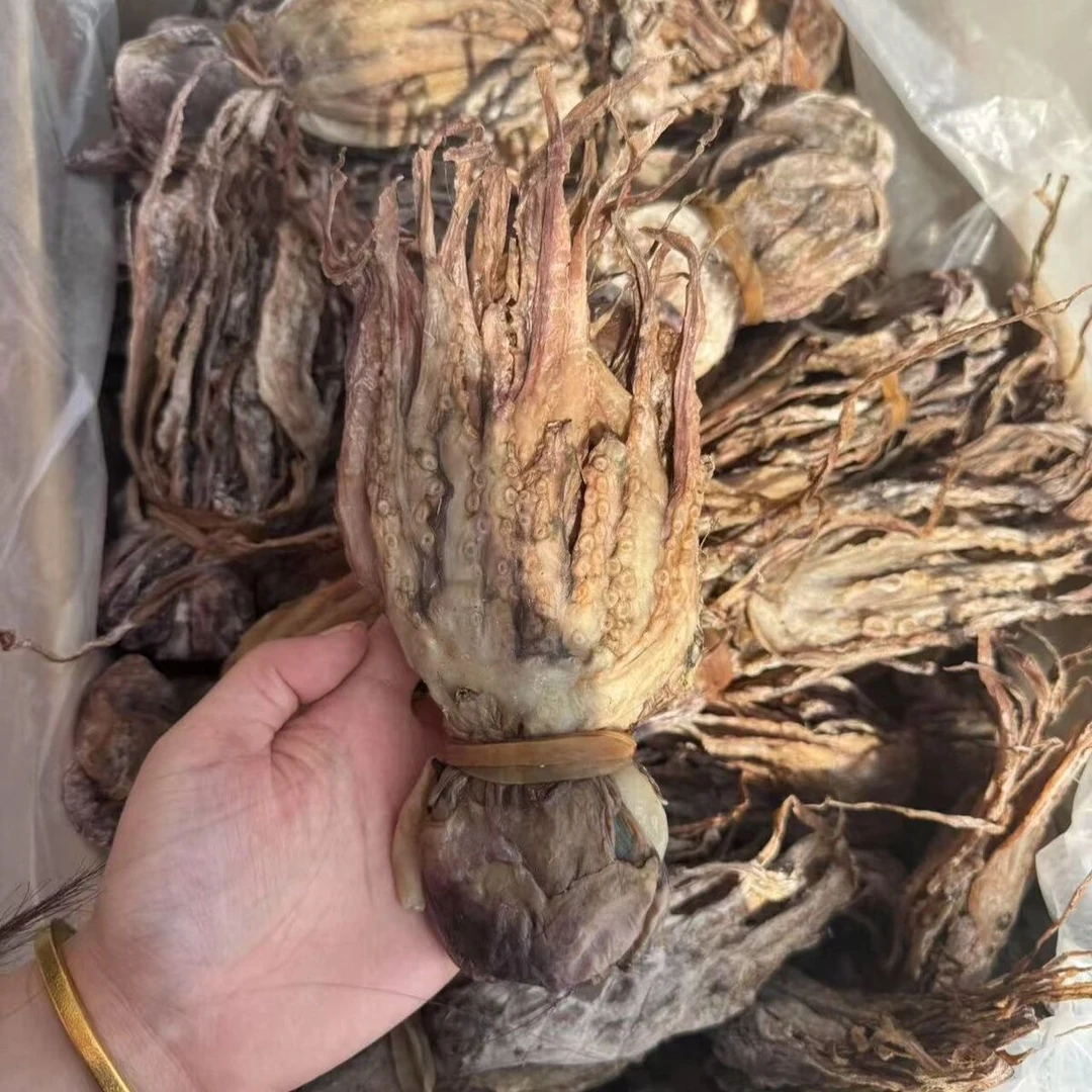 新晒章鱼干优质野生章鱼干海产干货煲汤长章鱼干八爪鱼干