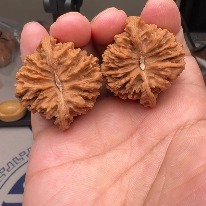 桃核把件山地满天星40尺5