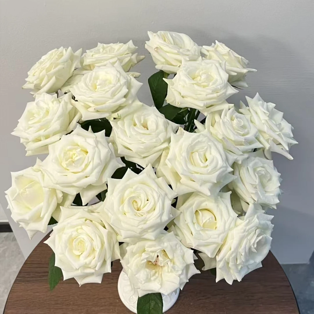 【10枝  骄傲白玫瑰】全场鲜花任意满2单及以上包邮