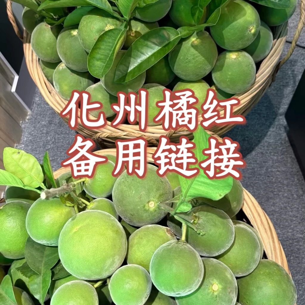 平润萃·正宗化橘红正毛【备用链接】