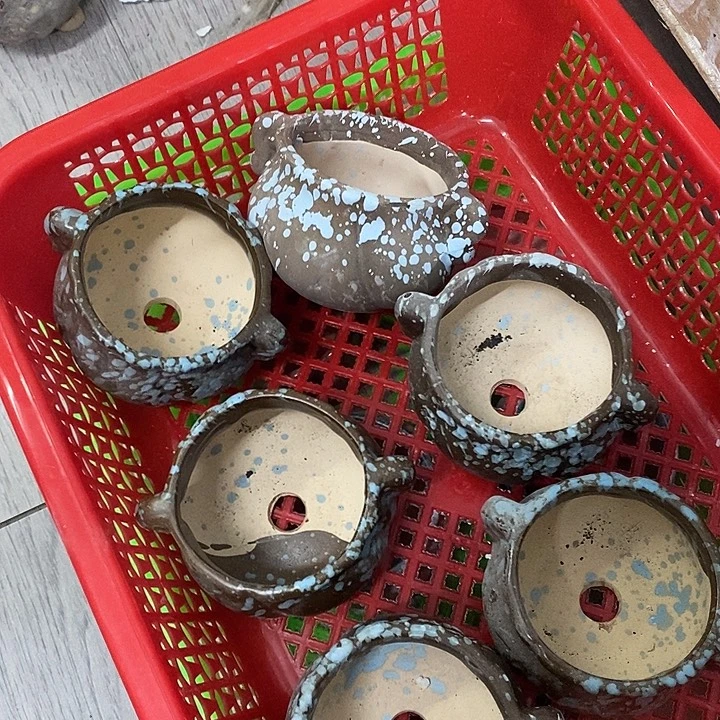 花盆抢购清货带微暇