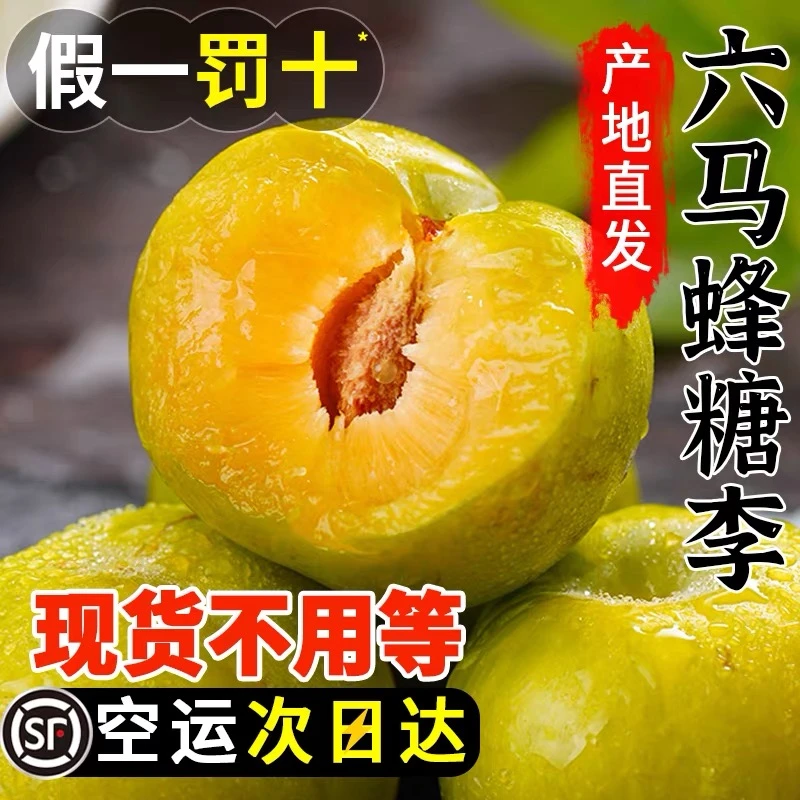 次日达贵州镇宁六马蜂糖李现摘现发假一罚十贵州省