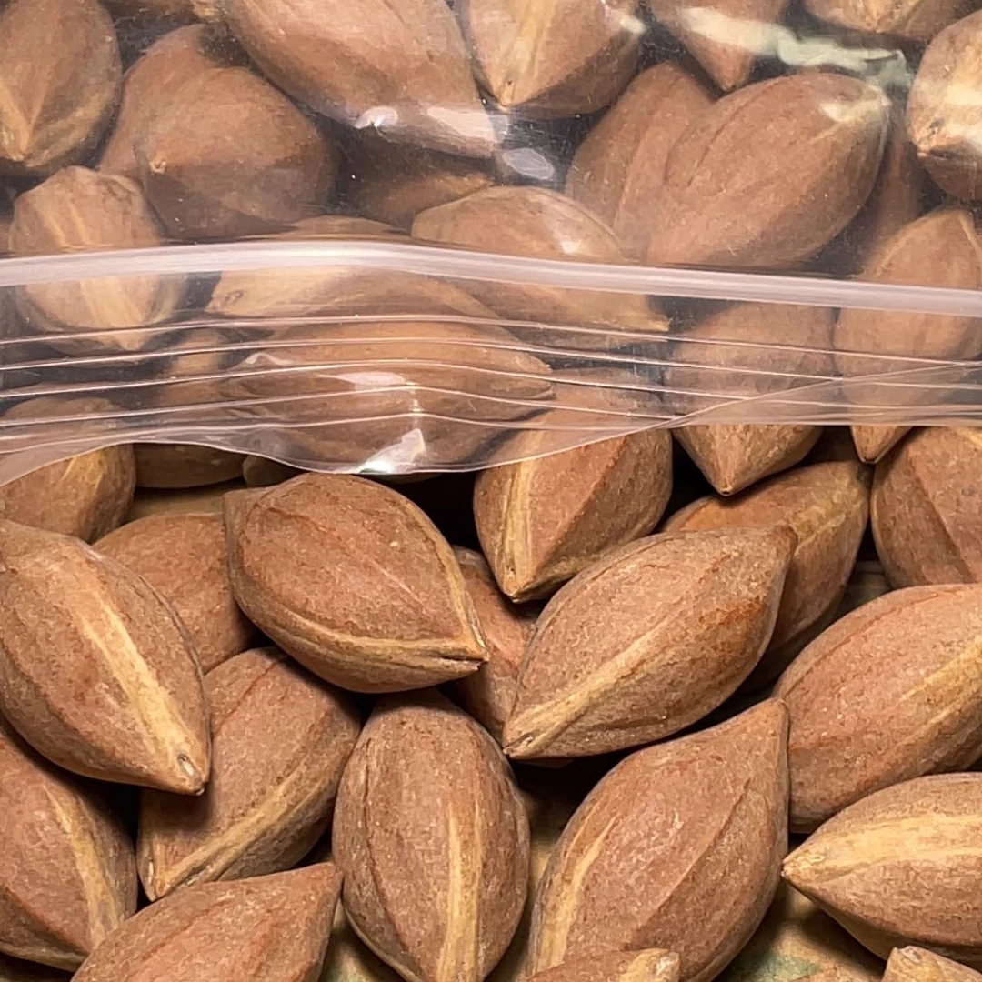 狂***马橄榄核手串/手链不退不换qert