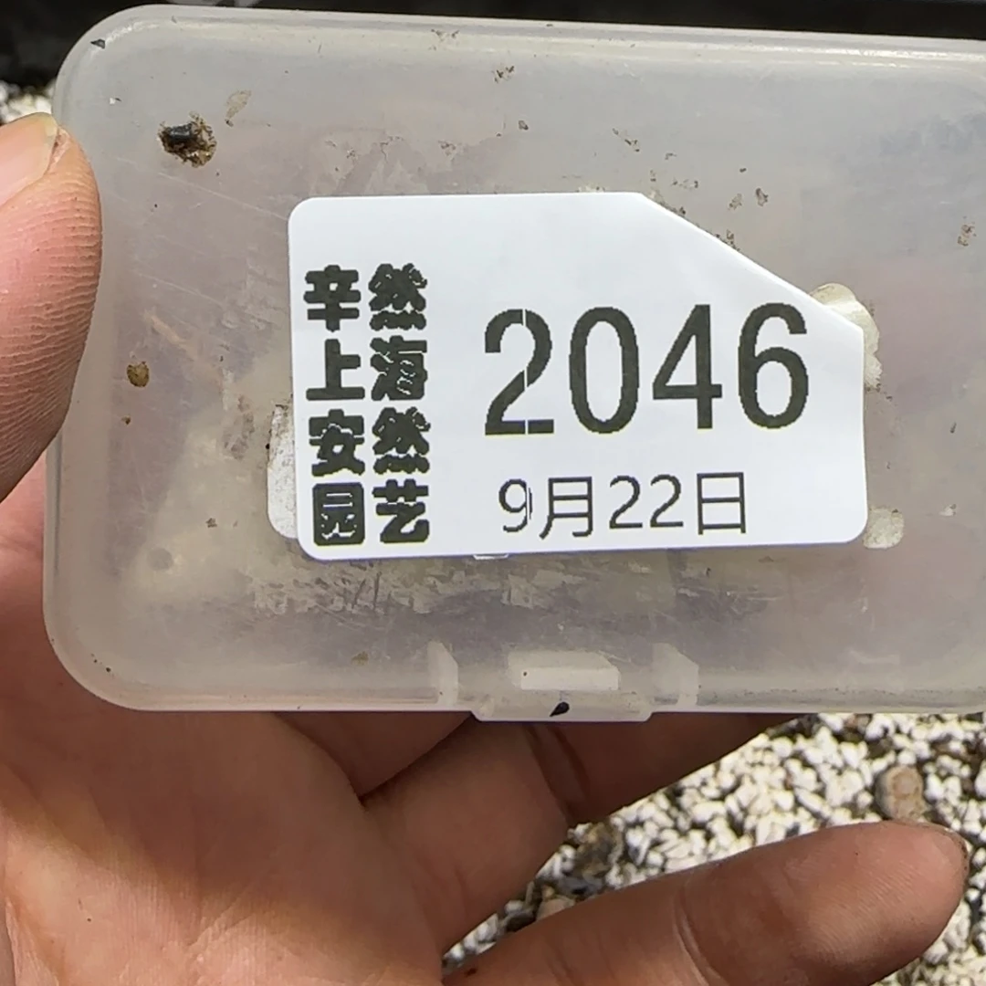奇***林9.22。  专拍饼干x3。   2046