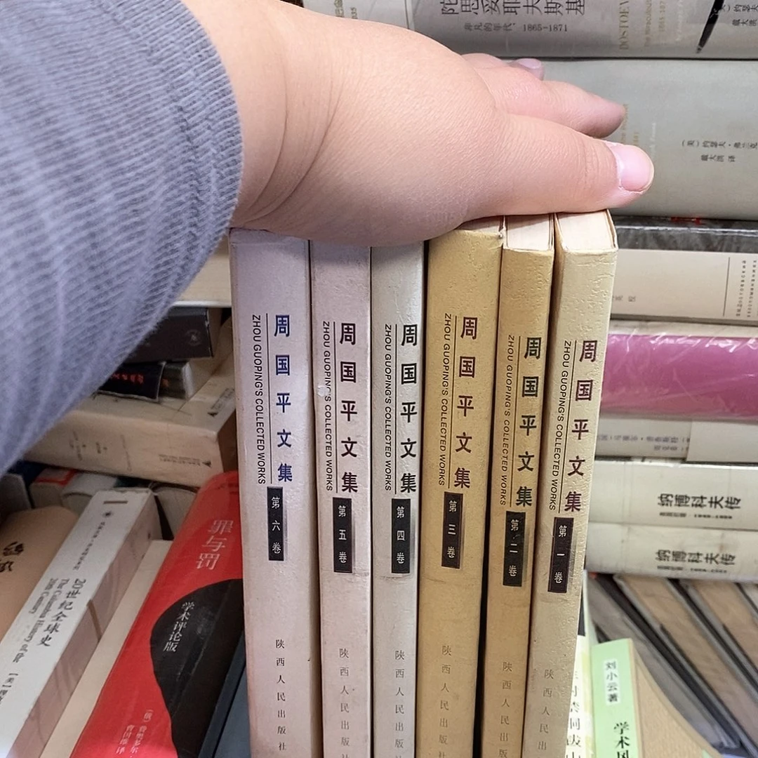 瑕疵显旧  周国平文集  全六册