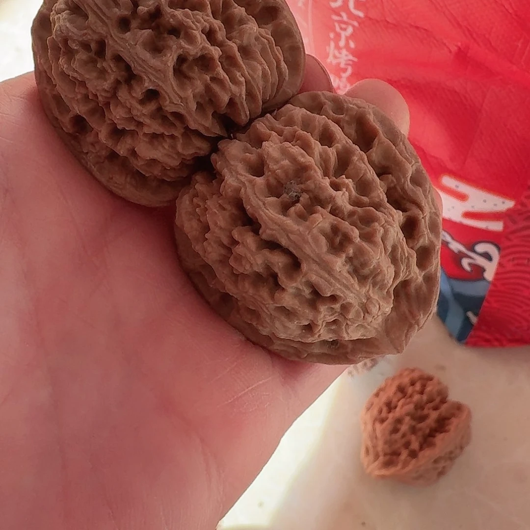 不****股南疆石狮子头42