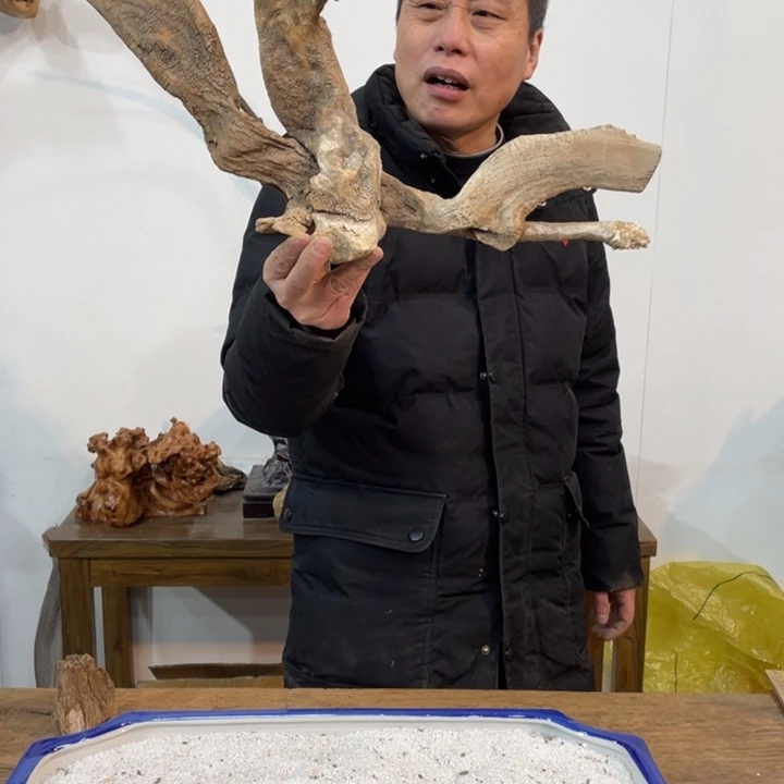 独***月我们都是好孩子呀