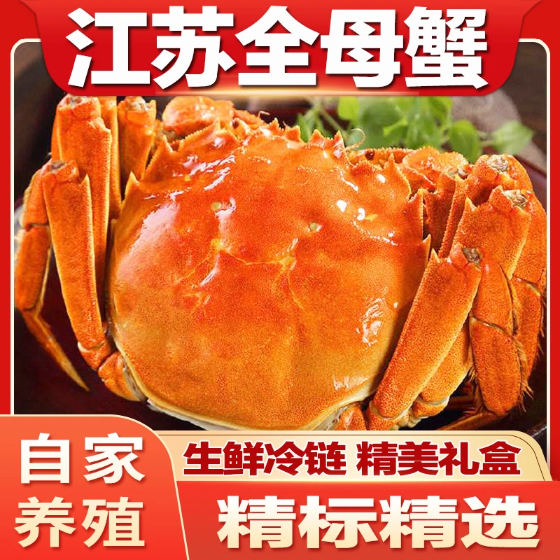 【活蟹】江苏大闸蟹全母⒉3-⒉6两 8-10只装 没黄包赔 生鲜冷链