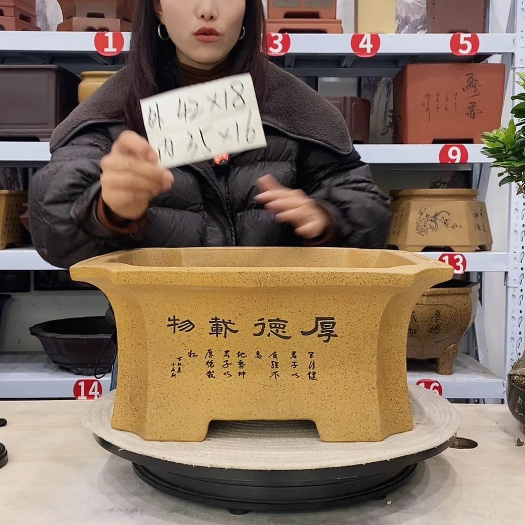 紫砂花盆紫砂花盆