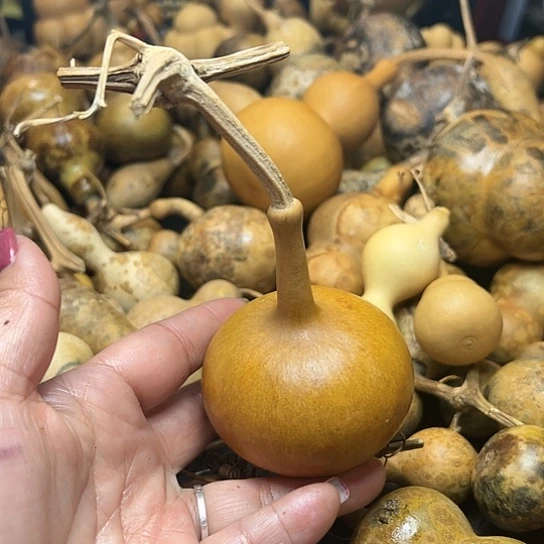 ꧁**꧂葫芦葫芦葫芦葫芦葫芦