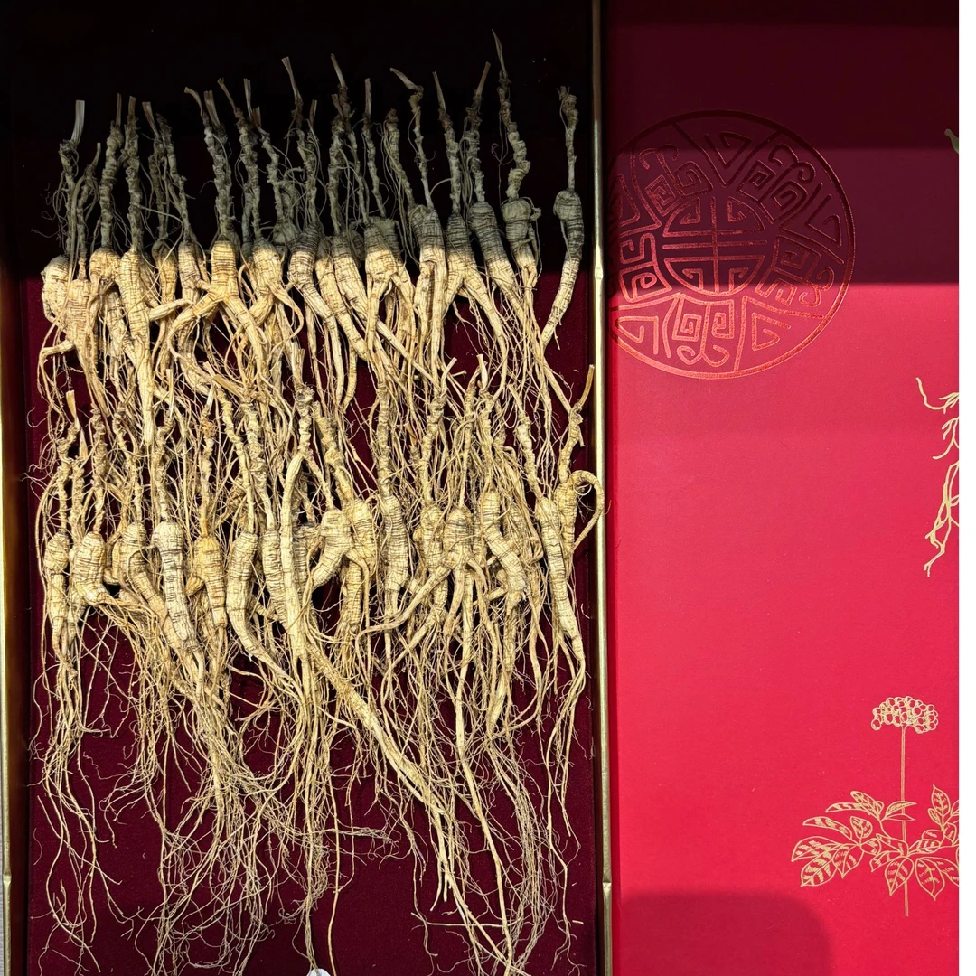 林下参干参煲汤打粉晒参食用高档100克直播间改价链接一物一拍