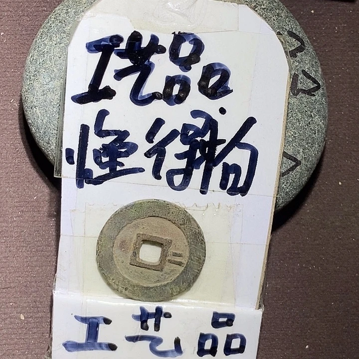 崇懂的拍哈宝子们