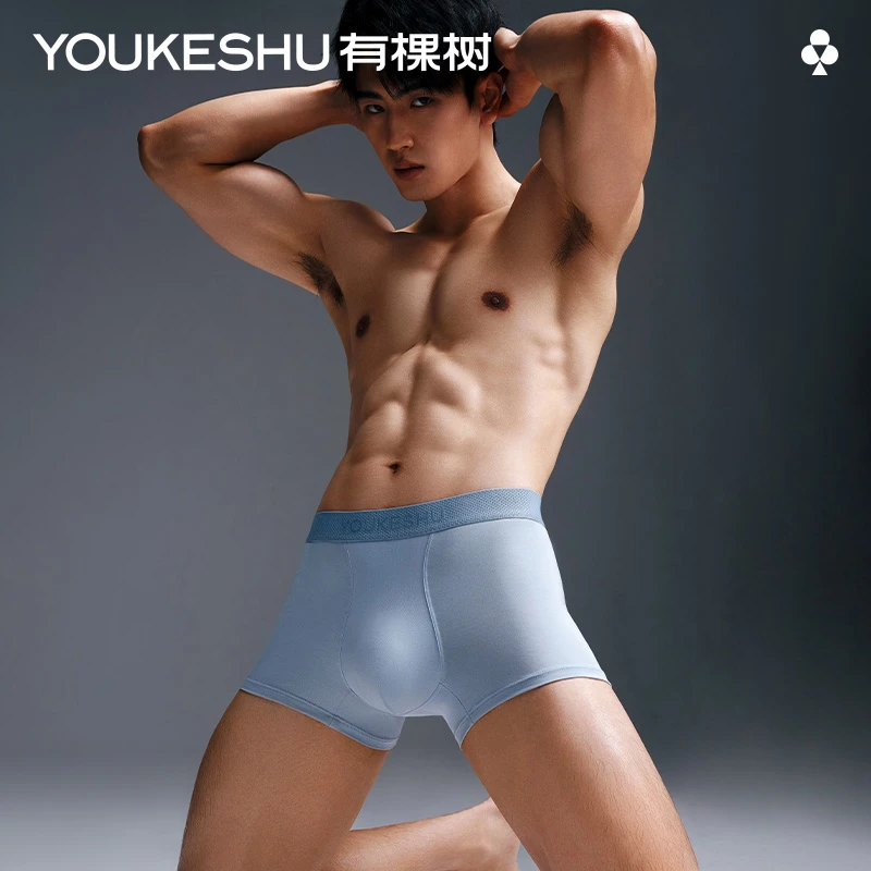 【元气唤醒裤】有棵树男士肉苁蓉养护内裤 10A抗菌高端健康四角短裤