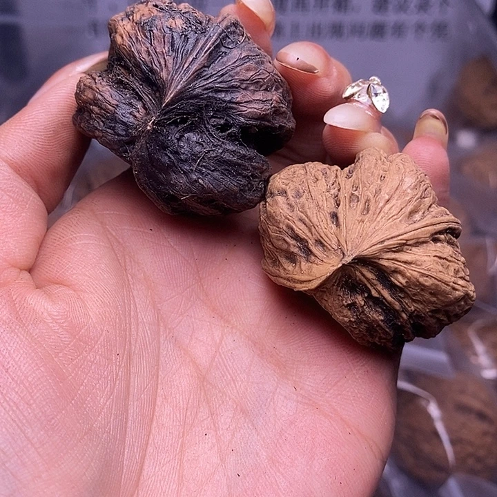 核桃云南野生铁核桃117号36m