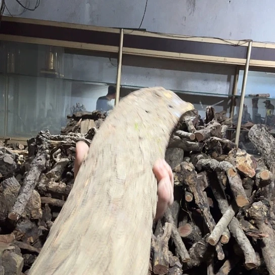 香榧木漆*狼火琉璃的故事