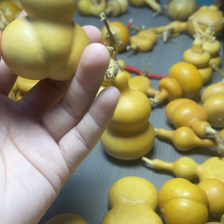 龙***宝哈中介来咯哦我哦哦哦哦哦哦哦