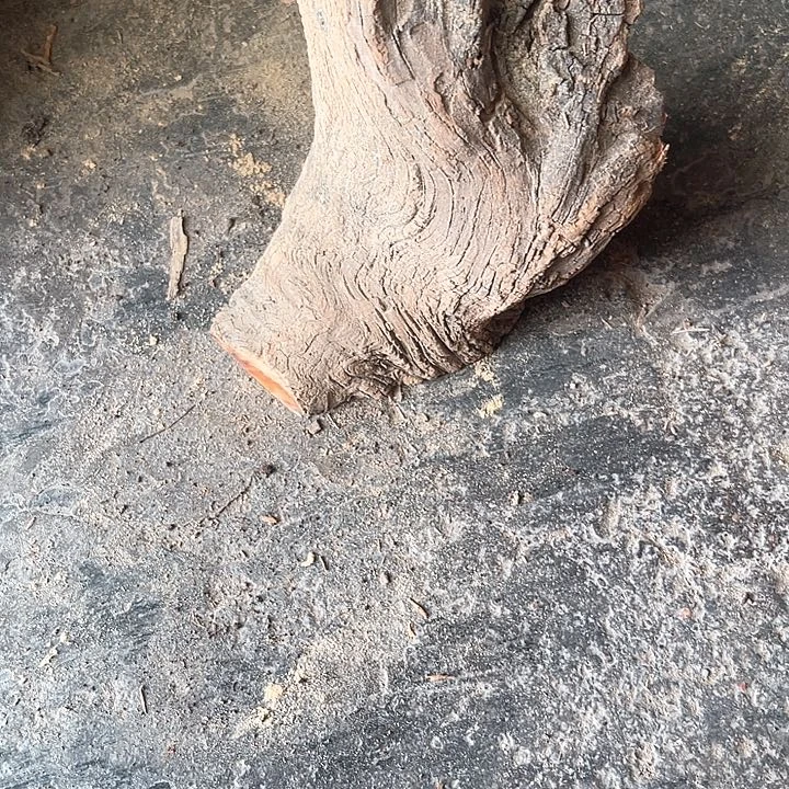 独***者柏木料1111111111111