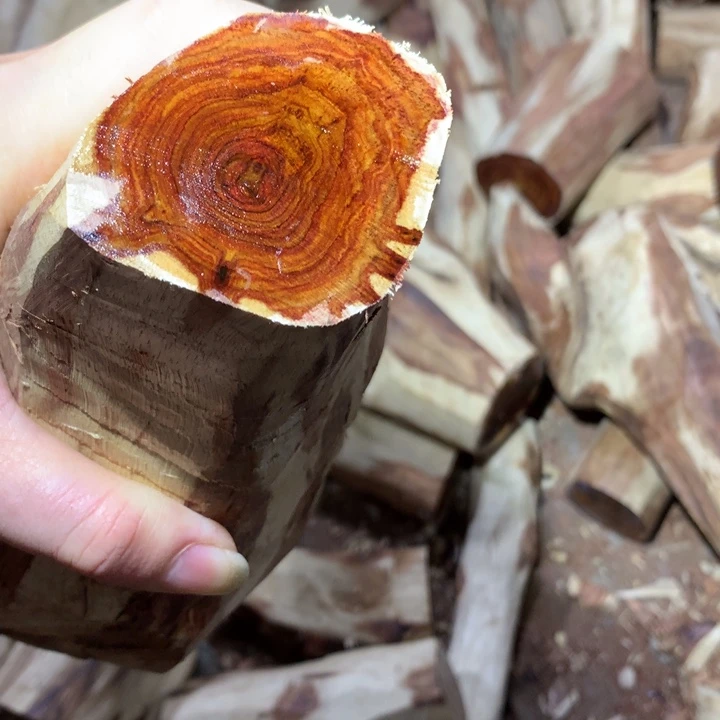 花梨木类海南黄花梨