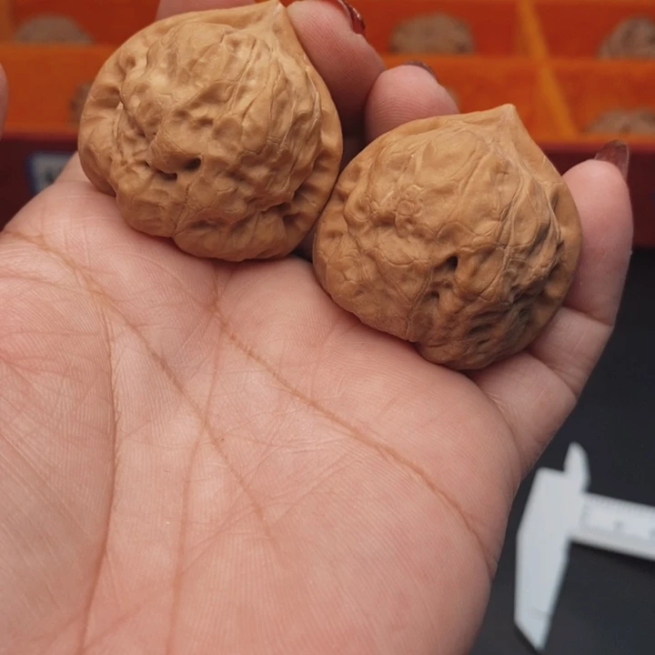 核桃古蟾39尺核桃