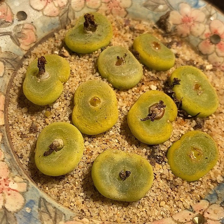 一颗五年单头水晶鞋。