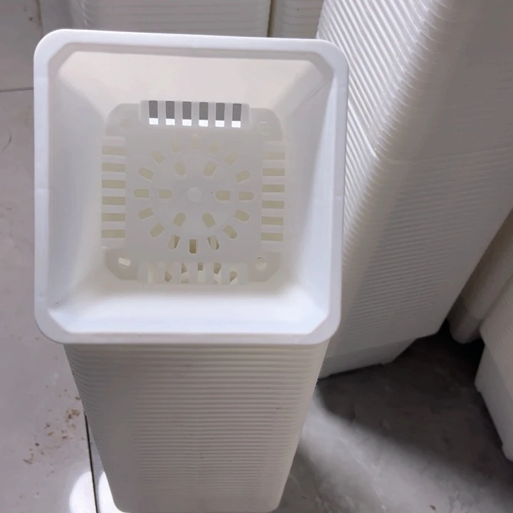 白方口11高8一组25个