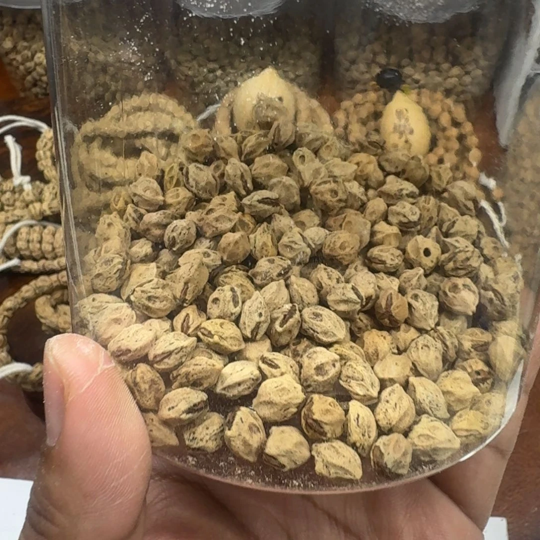 柏香籽/百香籽吊坠璟*