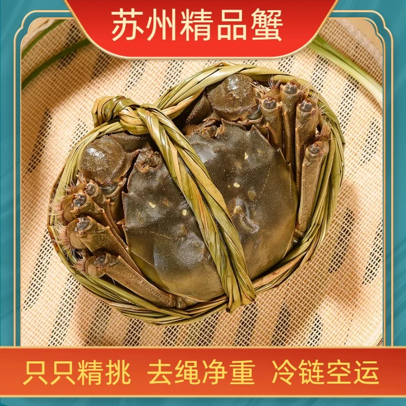 【嗦哈兄弟】【活蟹】苏州精品大闸蟹 全母蟹2两 6只 冷链空运
