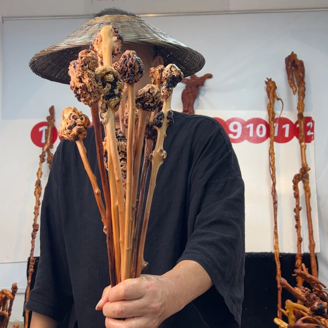 成***乐其他黑果木黑果木349