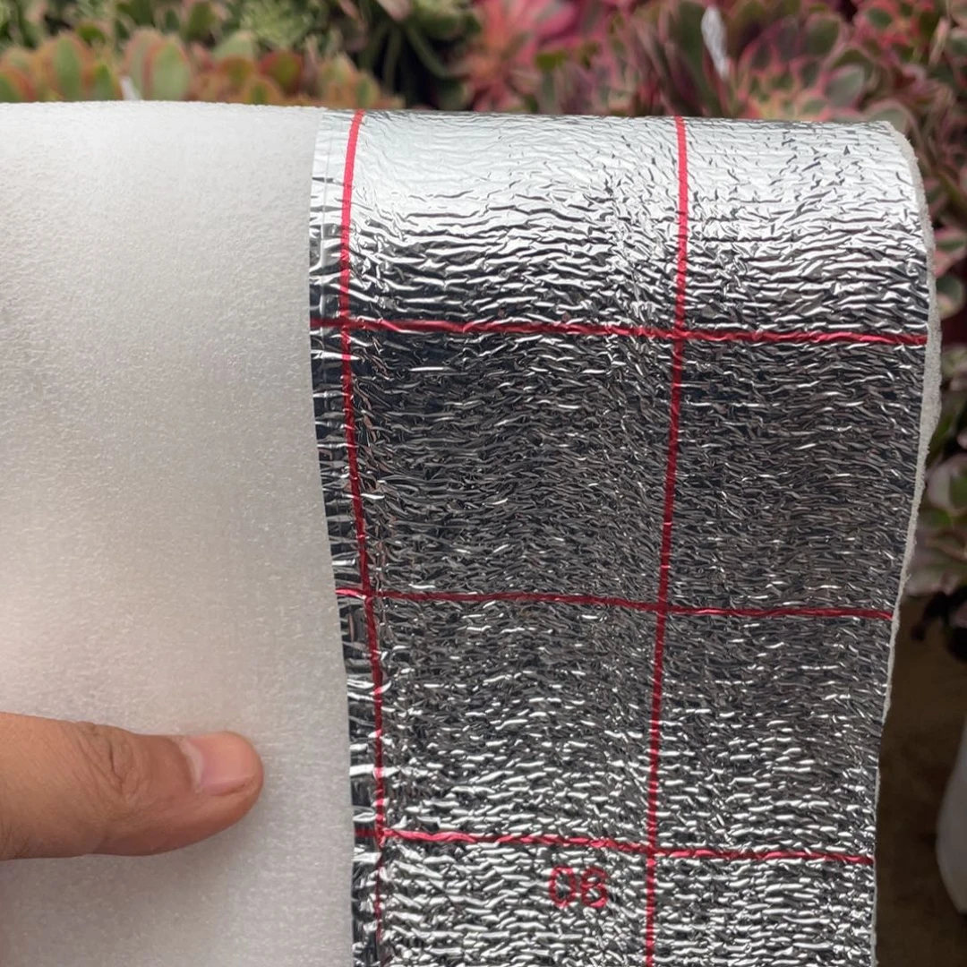 保温面零下必拍多肉法师断枝不包