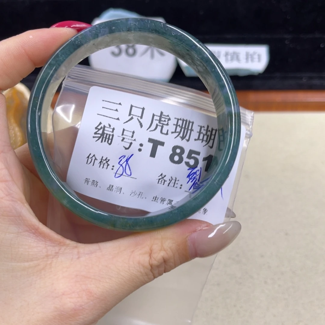 西****硅化珊瑚（珊瑚玉）h未镶嵌