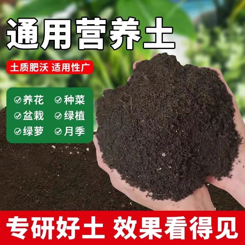 多肉专用营养土  疏松透气 5斤装