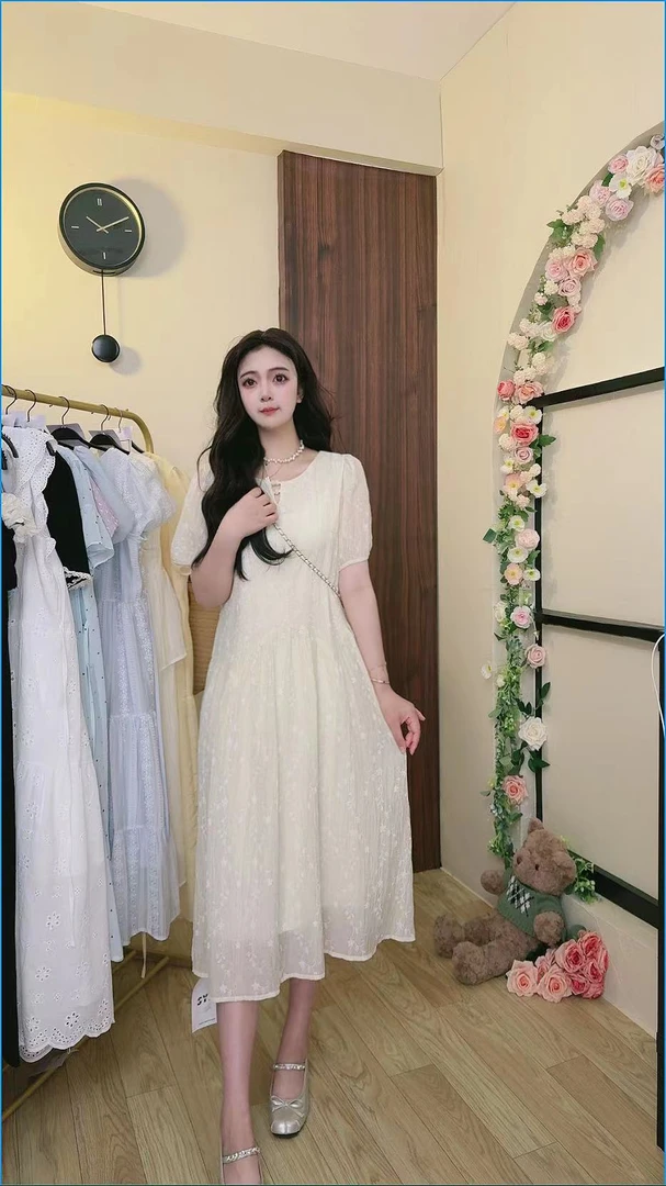 2025夏季刺绣气质中长款短袖连衣裙蕾丝碎花显瘦网红时尚宽松