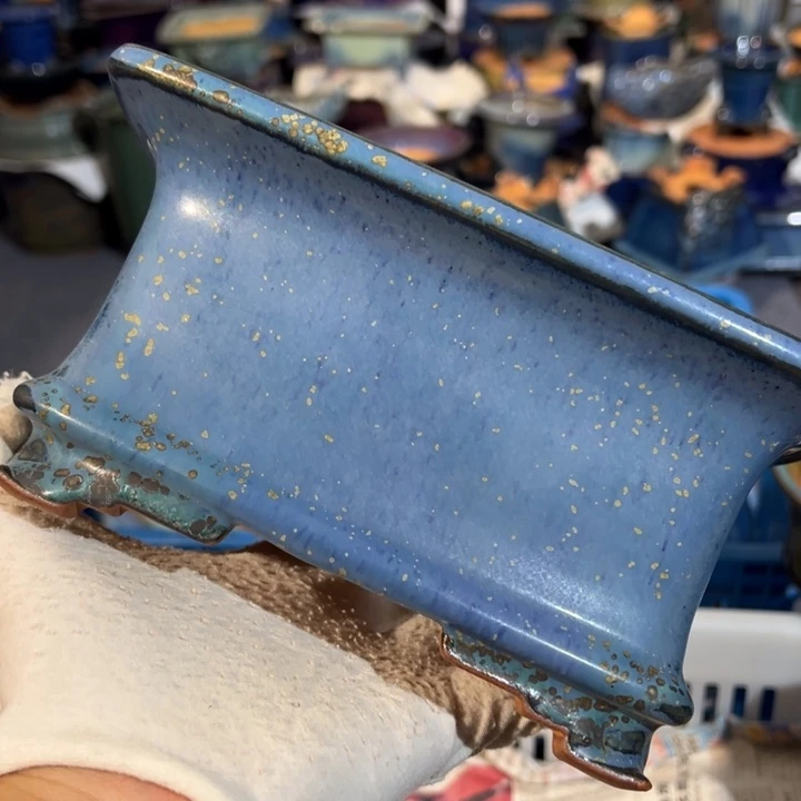 当代觉象花盆艺术作品