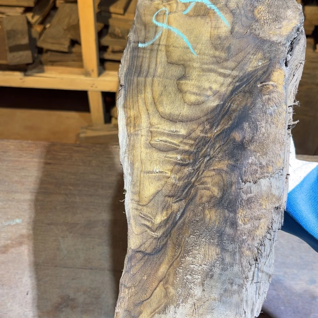 木质类金丝楠原材料