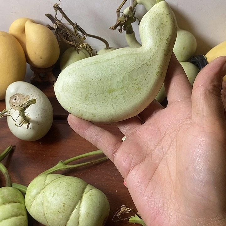 福***娃青皮腰子葫芦手把件葫芦