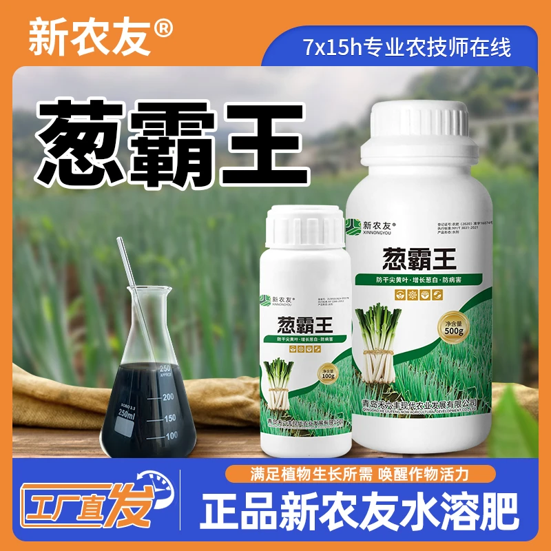 【当季热销】葱霸王大葱干尖黄叶烂根一喷绿高产正品农作物通用