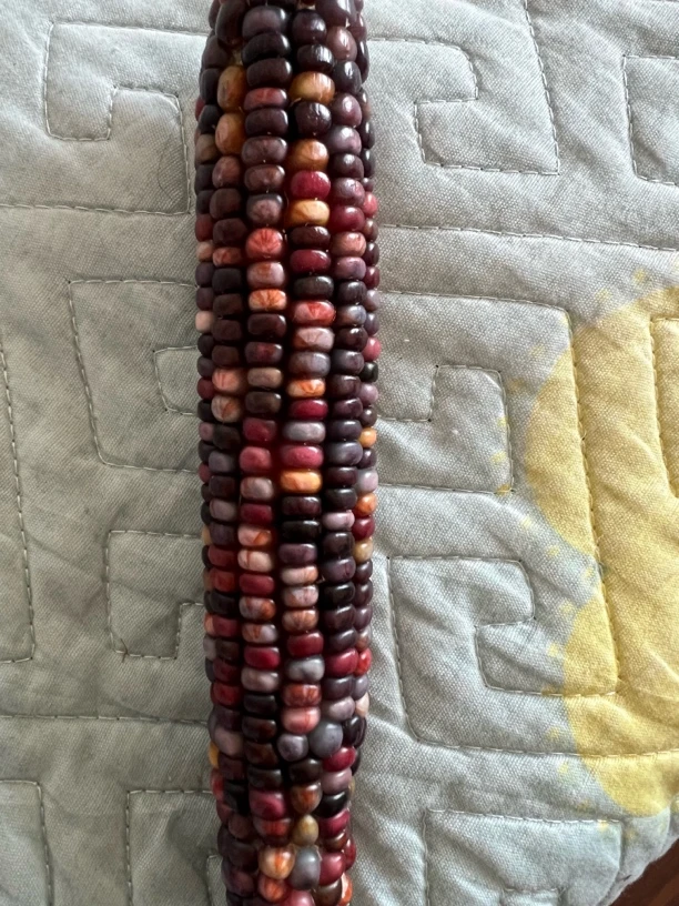 小玉米，毛料，介意勿拍