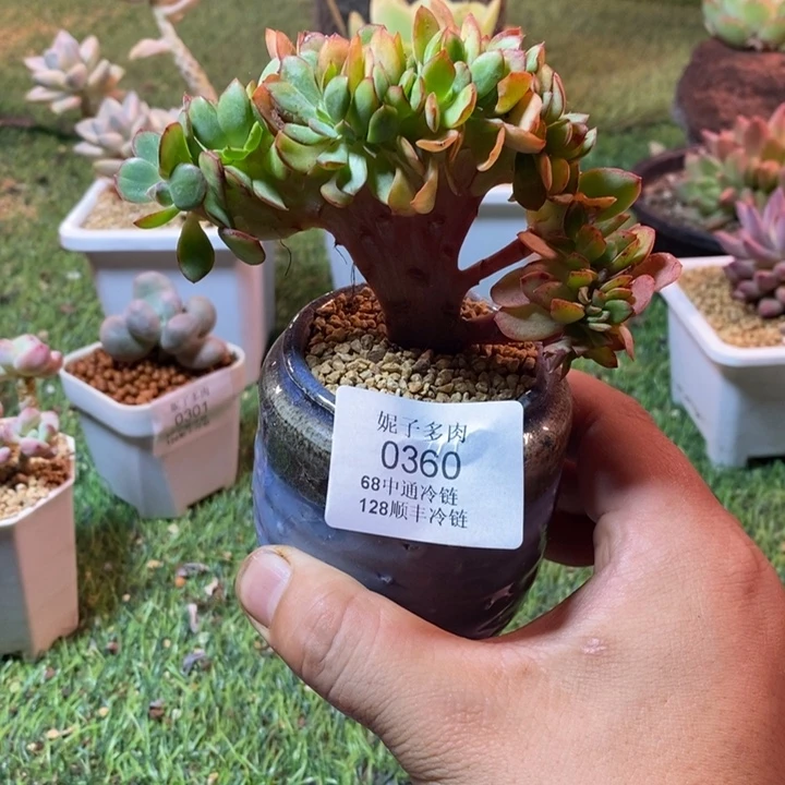 0360啊啊啊啊啊啊啊啊啊啊
