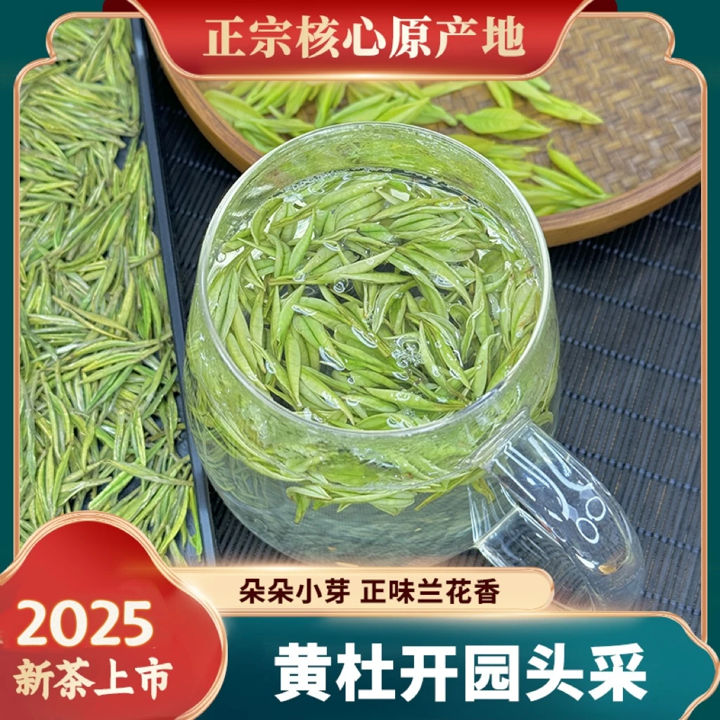 2025（黄杜头采） 安吉白茶 正宗安吉黄杜村核心原产地好茶开园头采
