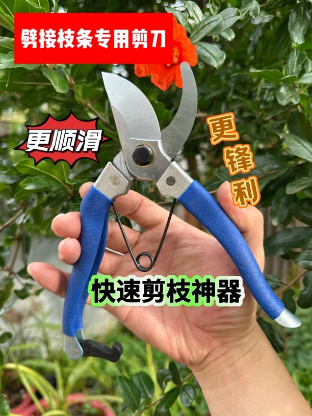 新款多功能嫁接神器大斜口削接穗专用嫁接剪刀