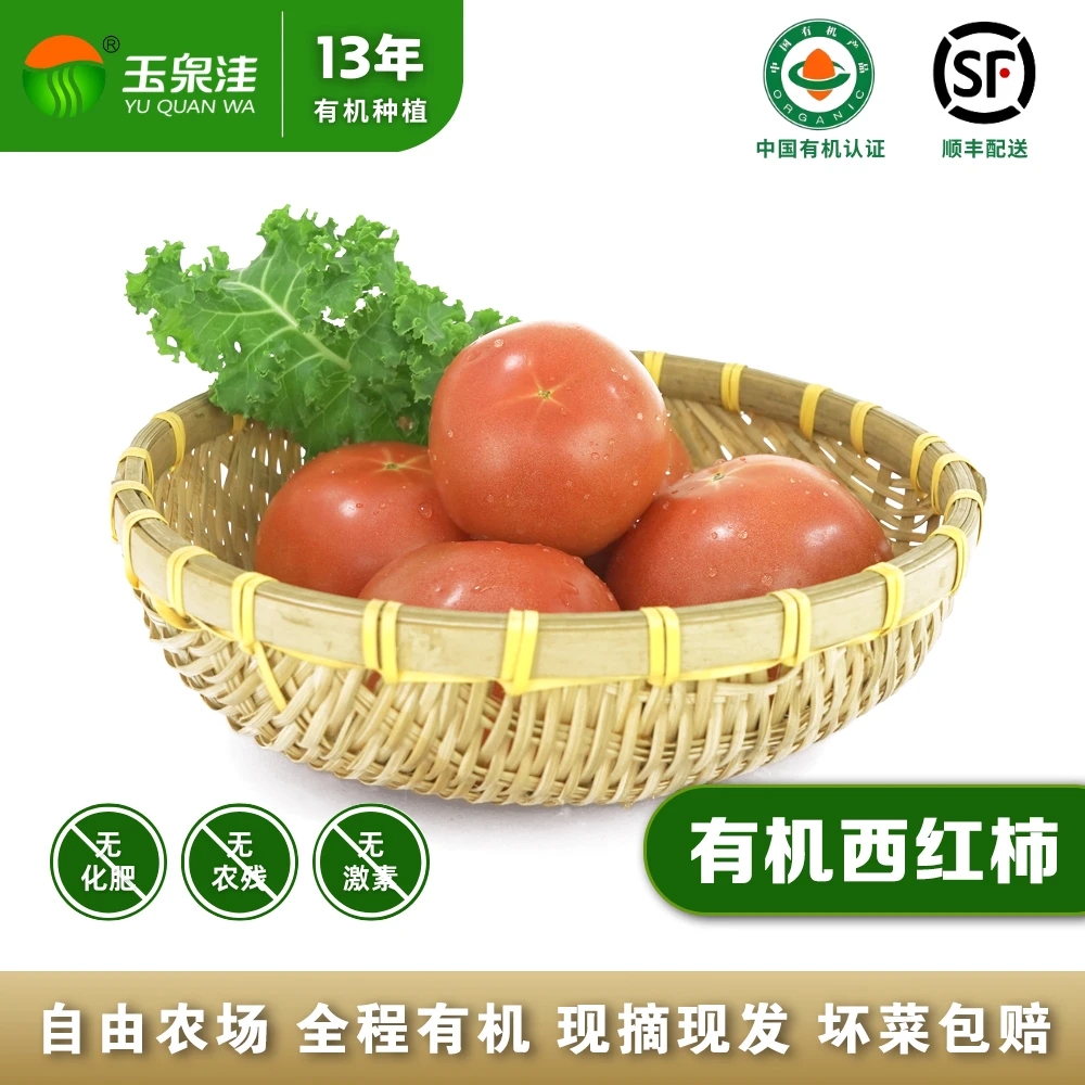 玉泉洼自然成熟普罗旺斯沙瓤西红柿新鲜应季1000g