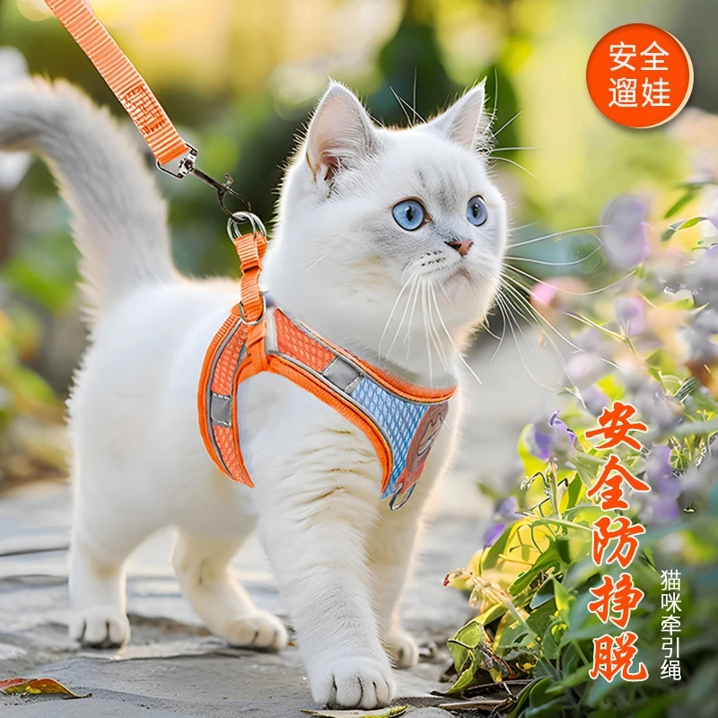 猫咪牵引绳防挣脱外出专用背心式遛猫加长不勒脖子养幼猫必备用品