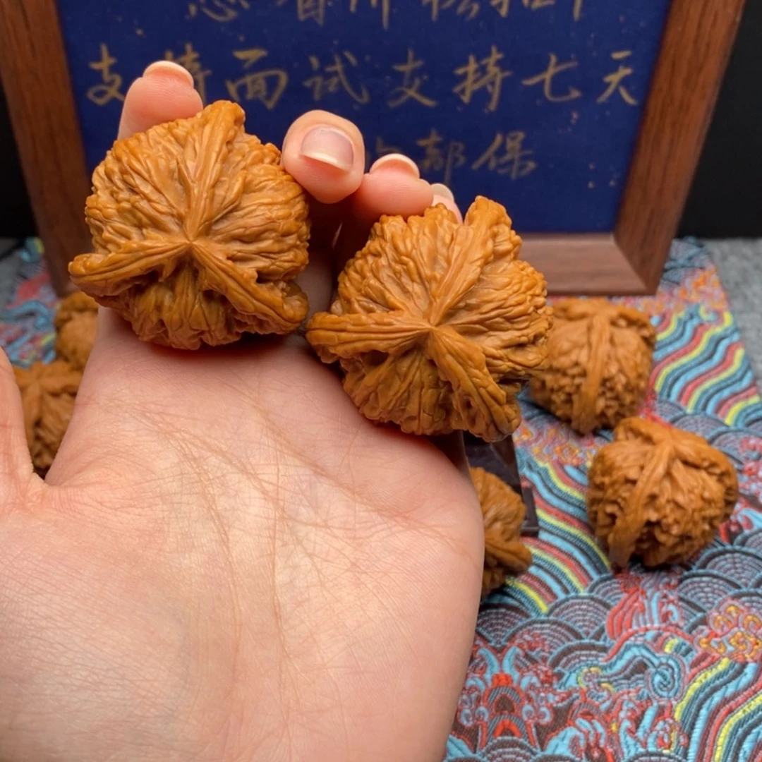 【闪购商品】世****号白狮