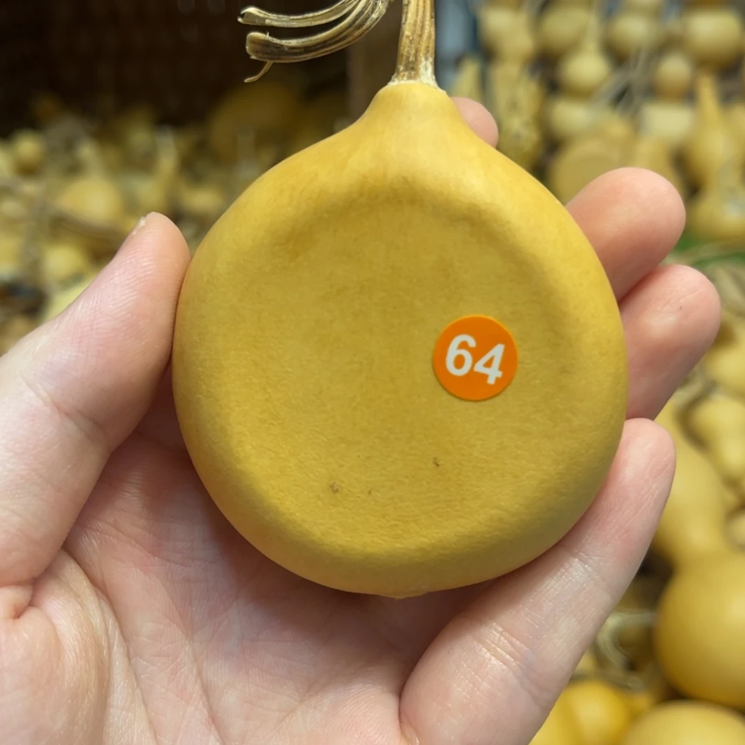 闪拍葫芦链接-64号品
