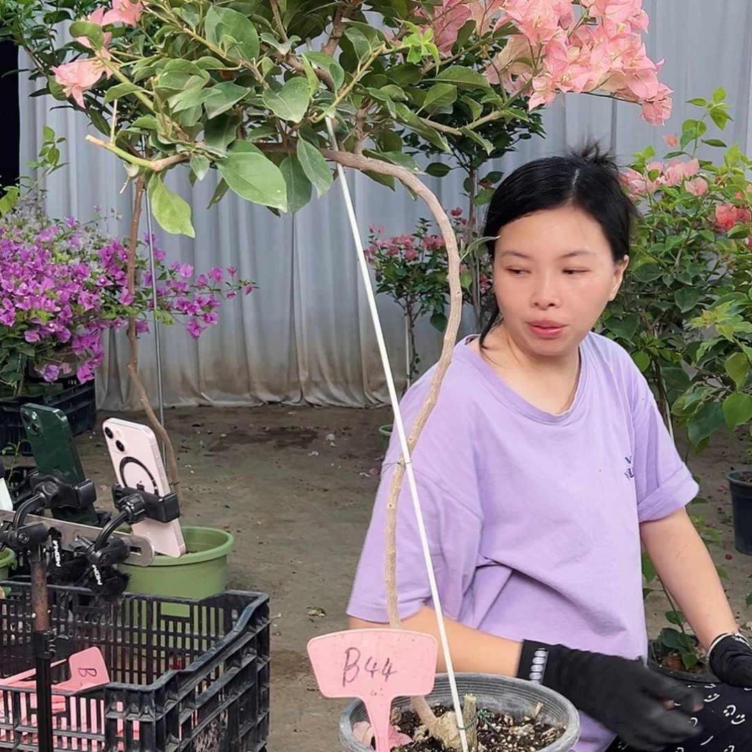 越***呀完全开放B44卡亚塔